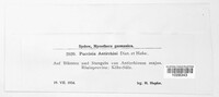 Image Associated With the Occurence